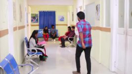 Pandian Stores S01 E1193 Dhanam, Mulla are Disappointed