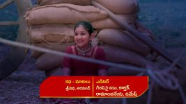 Renuka Yellamma (Star Maa) S01 E39 Manjamma's Evil Intentions