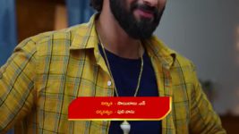 Naga Panchami (Star Maa) S01 E66 Sambayya Devises a Plan