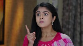 Vantalakka S01 E310 Vishnu Is Excited