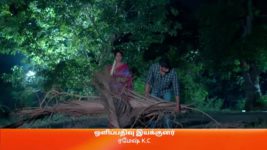 Vidhya No 1 S01 E418 5th June 2023
