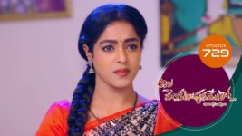 Ala Venkatapuram Lo S01 E729 7th June 2023