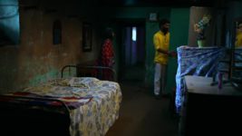 Haiwan S01 E71 3rd June 2023