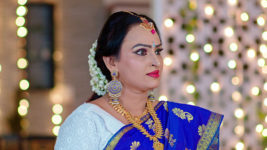 Nuvvu Nenu Prema S01 E342 Kuchala to Stop Arya's Wedding?