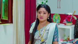 Nuvvu Nenu Prema S01 E363 Vikramadituya Cautions Padmavathi