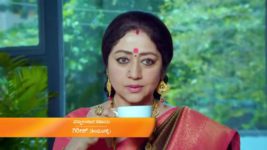 Paaru S01 E1202 4th July 2023