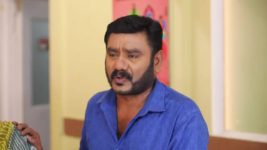 Pandian Stores S01 E1267 Meena, Mulla in a Pickle