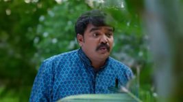Radhaku Neevera Praanam S01 E75 19th July 2023