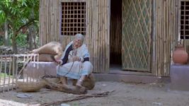 Renuka Yellamma (Star Maa) S01 E108 Mangaladevi Is Remorseful