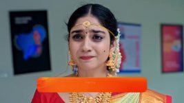 Subhasya Seeghram S01 E163 31st July 2023