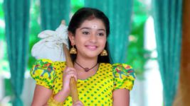 Trinayani (Kannada) S01 E783 24th July 2023