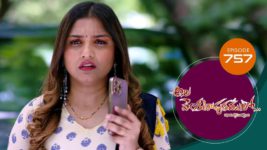 Ala Venkatapuram Lo S01 E757 10th July 2023