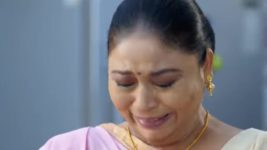 Meri Gudiya S01 E12 Avi Is on a Mission!