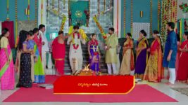 Nuvvu Nenu Prema S01 E367 Vikramaditya, Padmavathi's Conflict