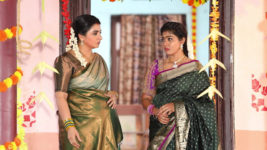 Pandian Stores S01 E1248 Meena's Failed Attempt
