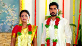 Radhaku Neevera Praanam S01 E73 17th July 2023