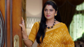 Yeda Loyallo Indradhanasu S01 E60 Subhashini Has Doubts