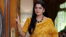 Yeda Loyallo Indradhanasu S01 E60 Subhashini Has Doubts
