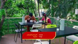 Yeda Loyallo Indradhanasu S01 E82 Sudhakanth's Plan Backfires