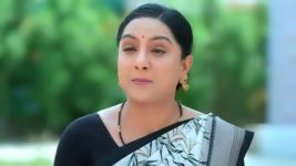 Annapoorna S01 E261 17th August 2023