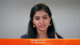 Karthigai Deepam S01 E201 1st August 2023
