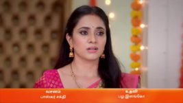 Karthigai Deepam S01 E207 8th August 2023
