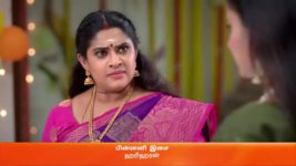 Karthigai Deepam S01 E216 18th August 2023