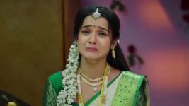 Krishnamma Kalipindhi Iddarini S01 E80 Gowri Is Shattered