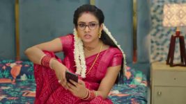 Krishnamma Kalipindhi Iddarini S01 E98 Sunandha Criticises Akhila