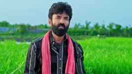 Mithai Kottu Chittemma S01 E749 18th August 2023