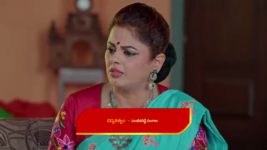 Nuvvu Nenu Prema S01 E383 Aravinda, Shanthadevi Are Successful