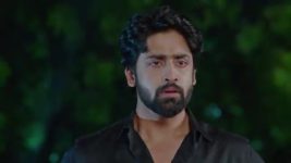 Nuvvu Nenu Prema S01 E389 Padmavathi, Vikramaditya Feel Elated
