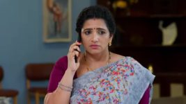 Radhaku Neevera Praanam S01 E112 31st August 2023