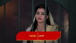 Renuka Yellamma (Star Maa) S01 E135 Neelakantam, Kalanetra's Clash