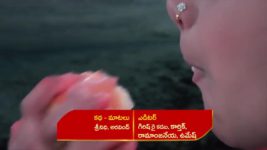 Renuka Yellamma (Star Maa) S01 E140 Dattatreya Counsels Karthaveerya