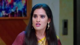 Trinayani (Kannada) S01 E797 9th August 2023
