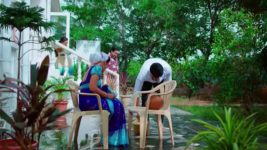 Trinayani (Kannada) S01 E798 10th August 2023