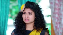 Trinayani (Kannada) S01 E801 14th August 2023