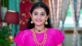 Trinayani (Kannada) S01 E802 15th August 2023