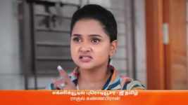 Vidhya No 1 S01 E493 31st August 2023