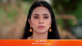 Karthigai Deepam S01 E202 2nd August 2023