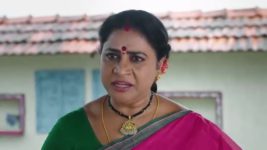 Krishnamma Kalipindhi Iddarini S01 E74 Sowdhamini's Cruel Plan