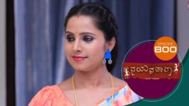 Nayanatara (kannada) S01 E800 30th August 2023