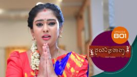 Nayanatara (kannada) S01 E801 31st August 2023