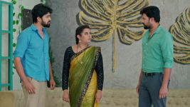 Nuvvu Nenu Prema S01 E384 Murali's Truth Is Exposed?