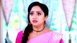 Trinayani (Kannada) S01 E804 17th August 2023