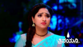 Trinayani (Kannada) S01 E805 18th August 2023