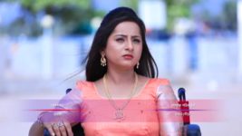 Gandharva Kumari Amrapali S01 E41 Brinda gets kidnapped