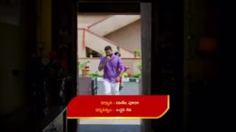Madhuranagarilo (Star Maa) S01 E159 Dhanunjay Supports Radha