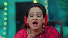 Nuvvu Nenu Prema S01 E420 Padmavathi, Vikramaditya Celebrate